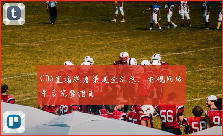CBA直播观看渠道全汇总：电视网络平台完整指南