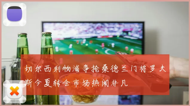 切尔西利物浦争抢桑德兰门将罗夫斯今夏转会市场热闹非凡